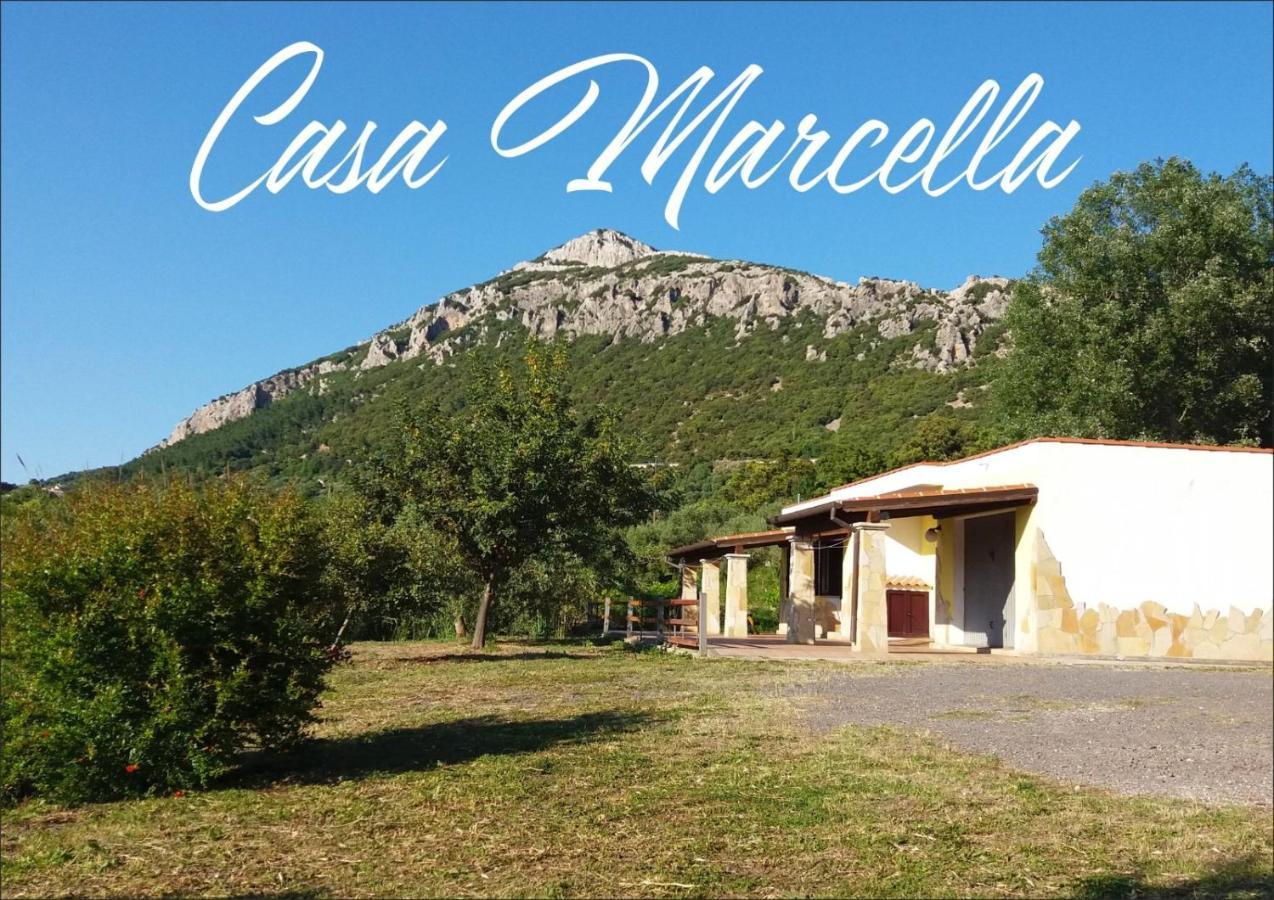 Casa Marcella Apartment Dorgali Ngoại thất bức ảnh